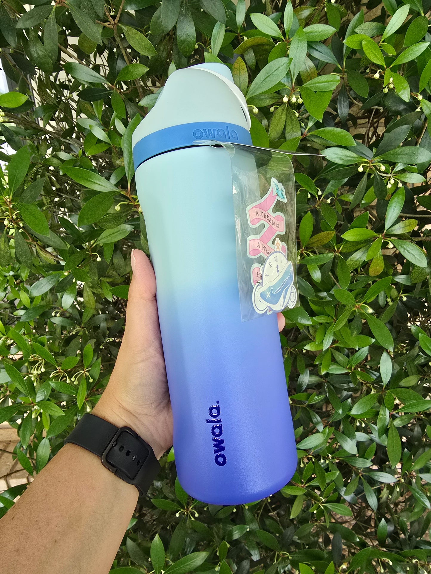 Cinderella Custom Dyed Owala