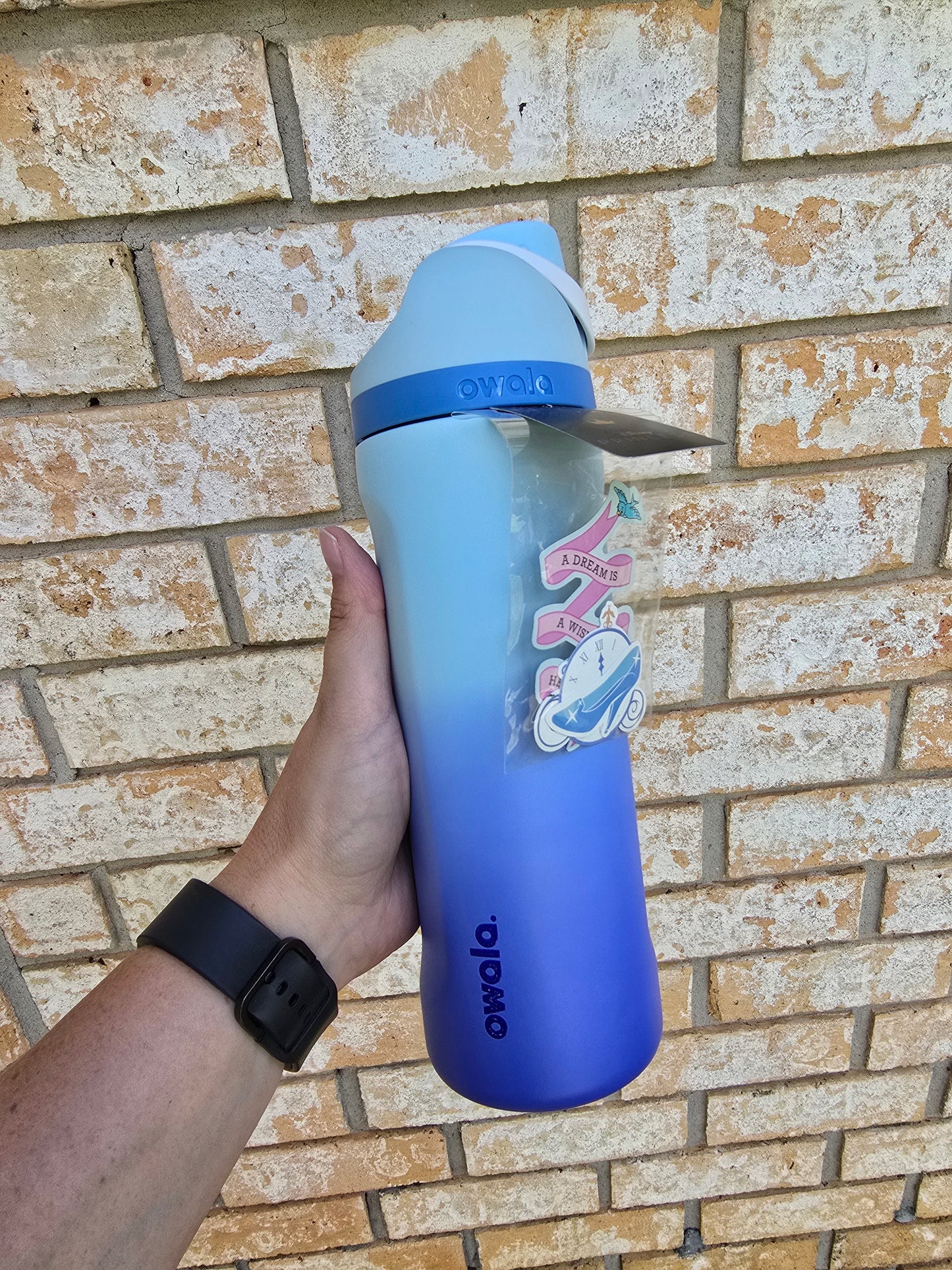 Cinderella Custom Dyed Owala