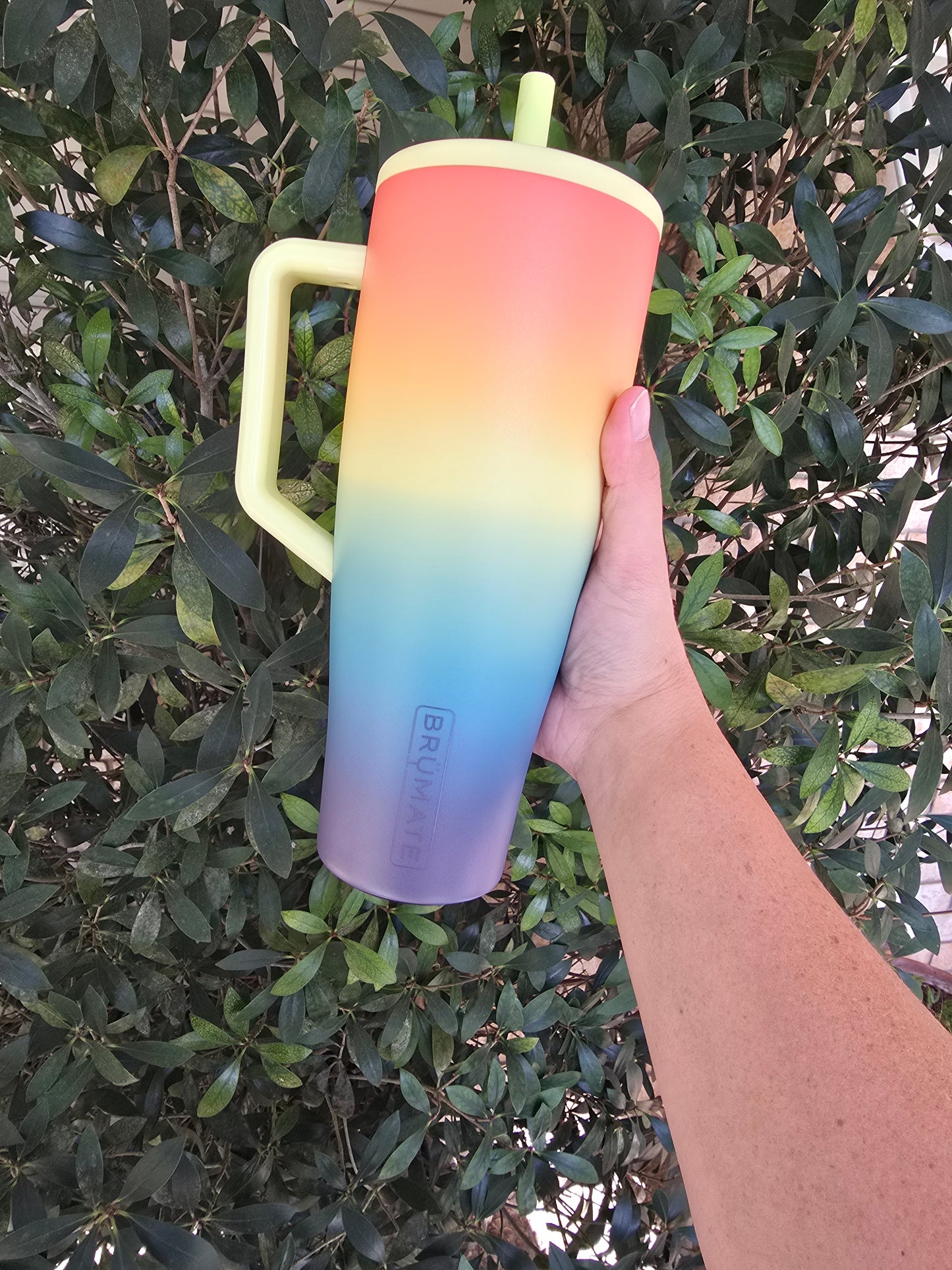Over the Rainbow