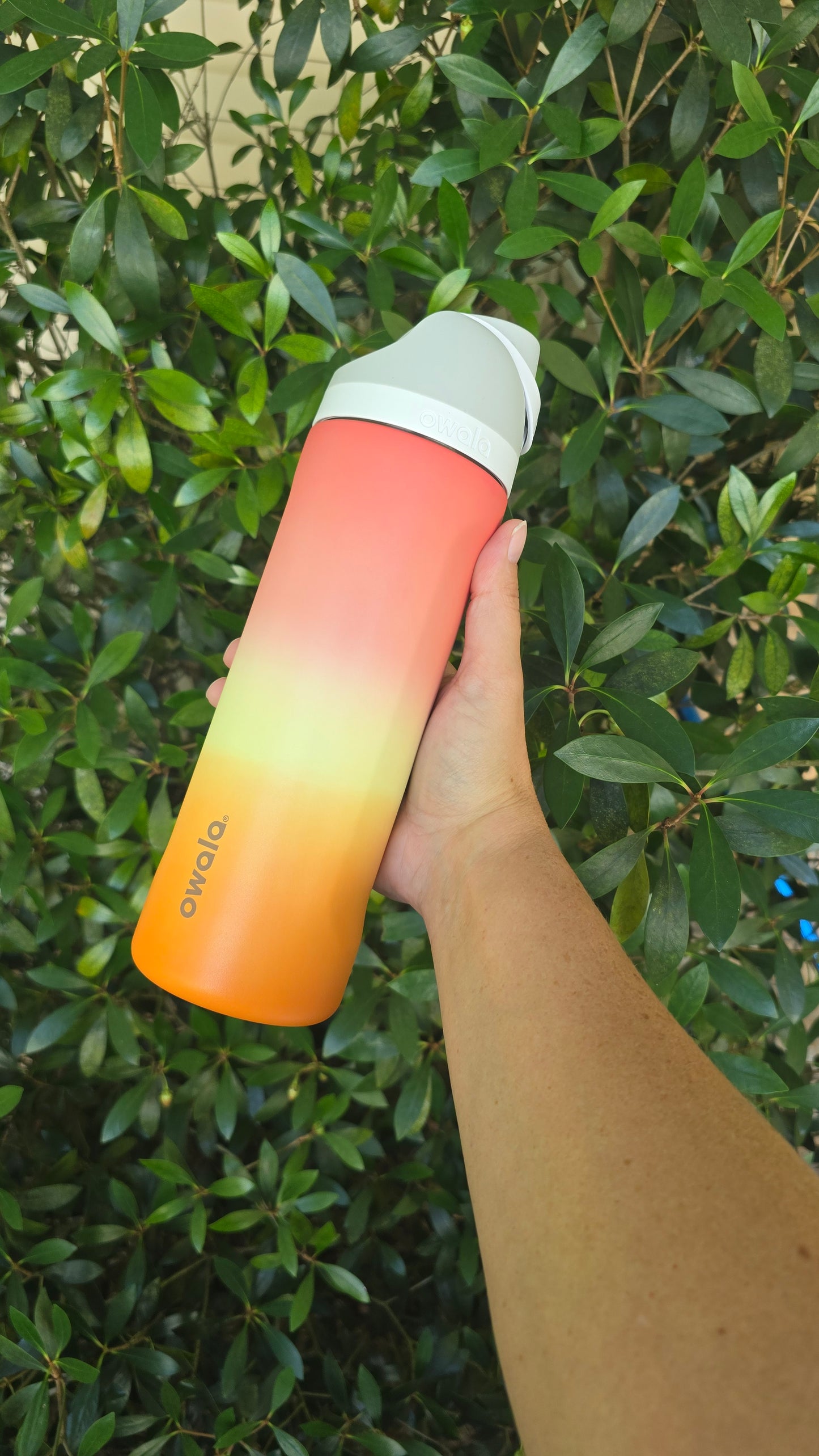 Custom Dyed Summer Sun 24oz Owala