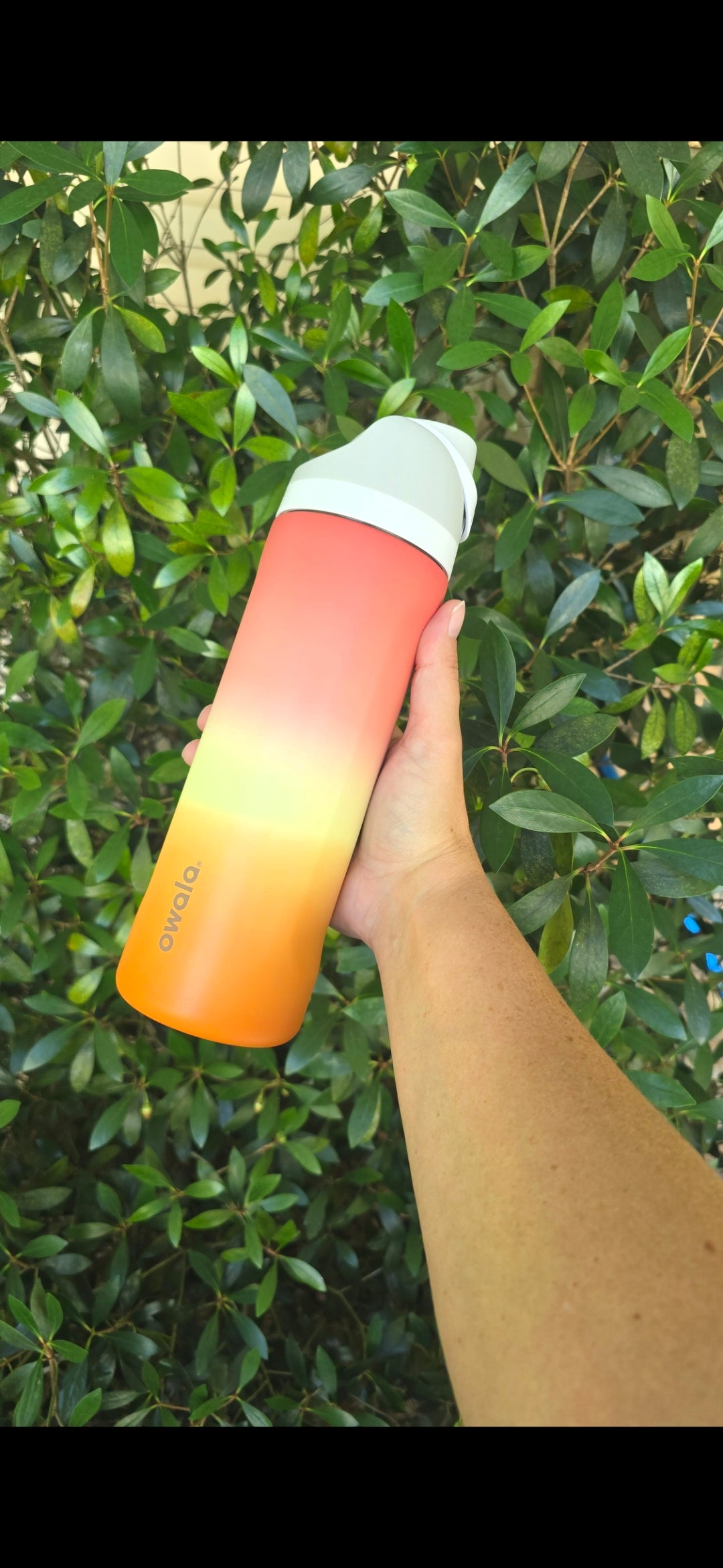 Custom Dyed 24oz Owala Freesip