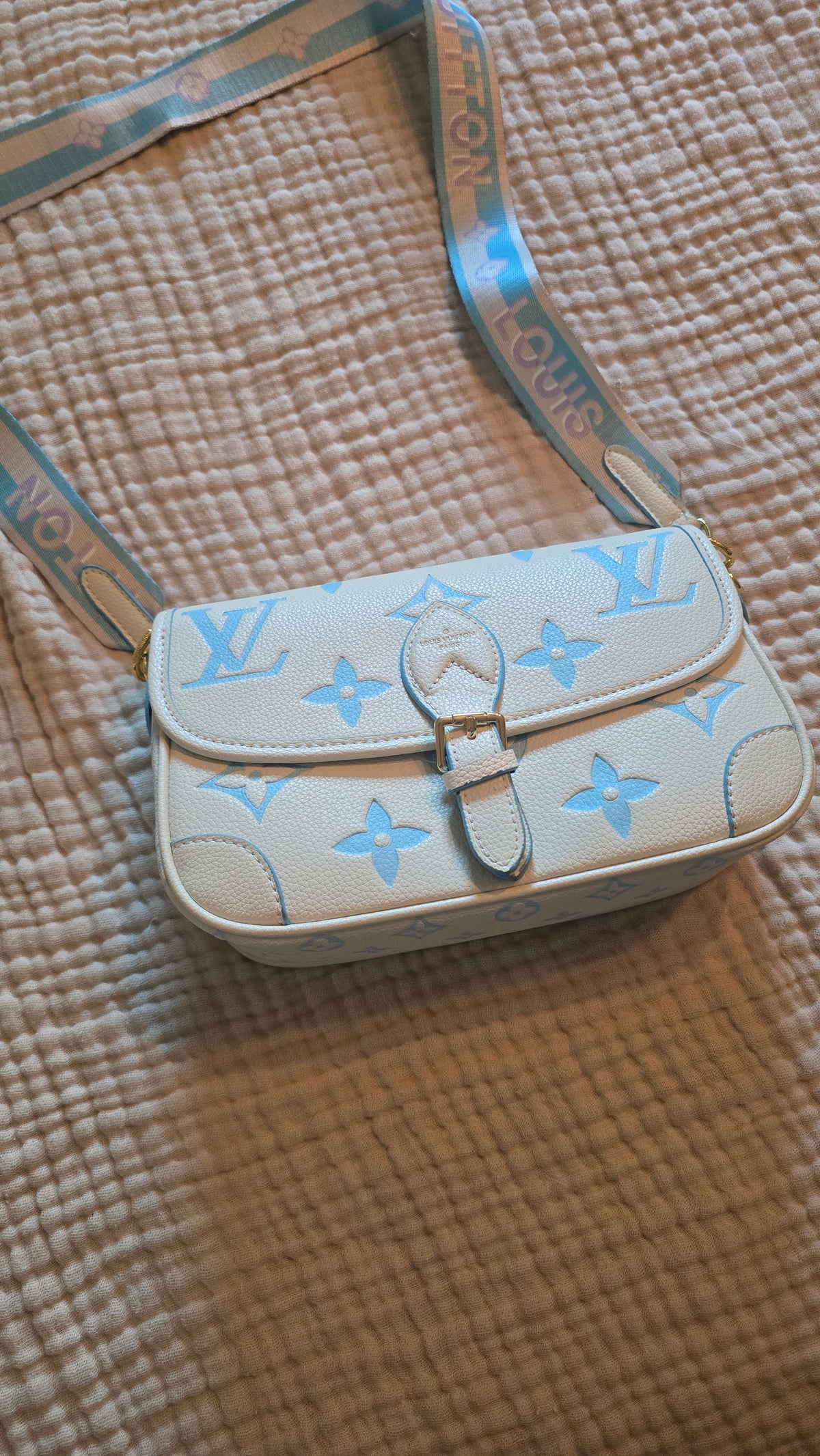 LV Inspired Purse