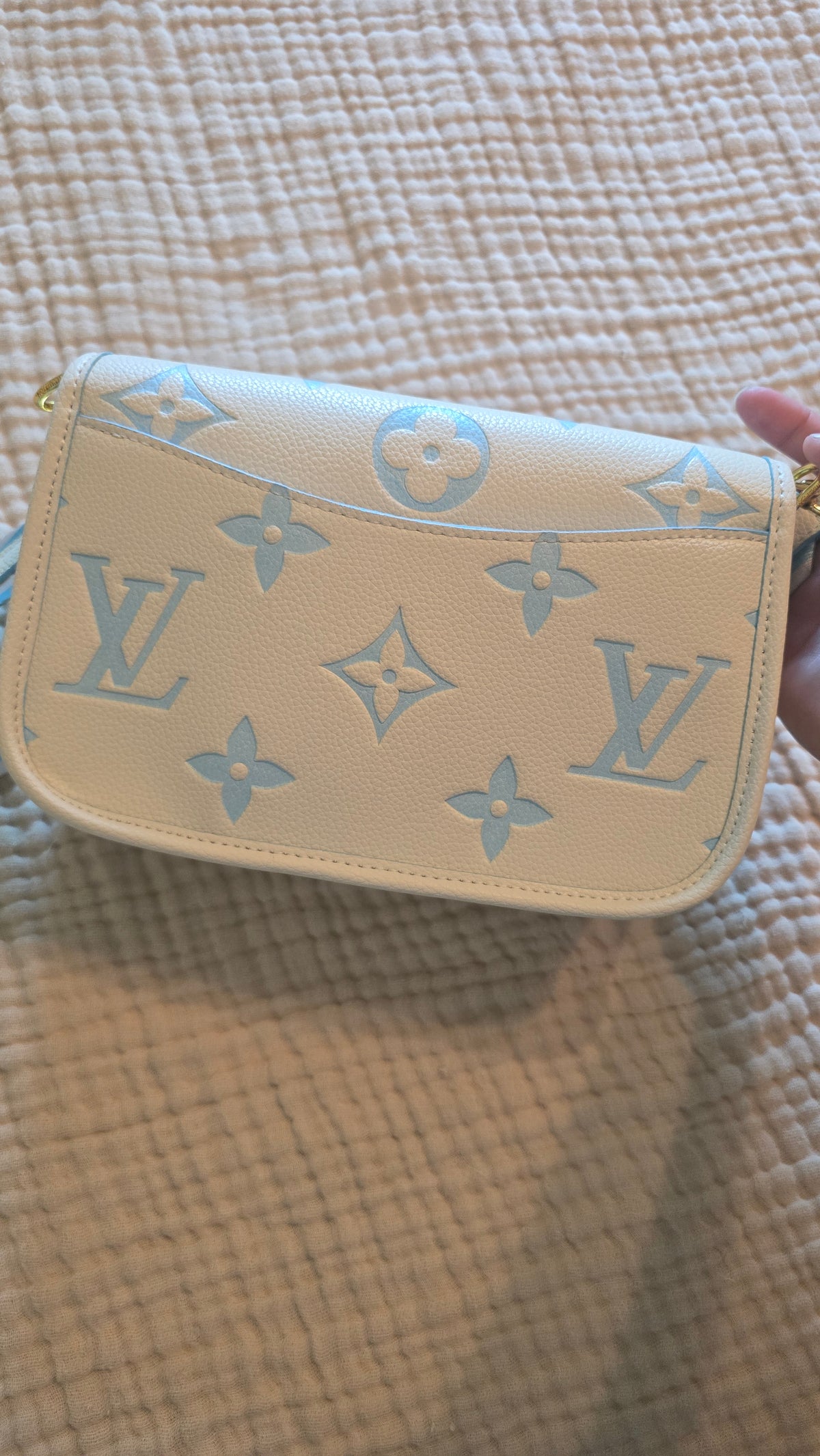 LV Inspired Purse