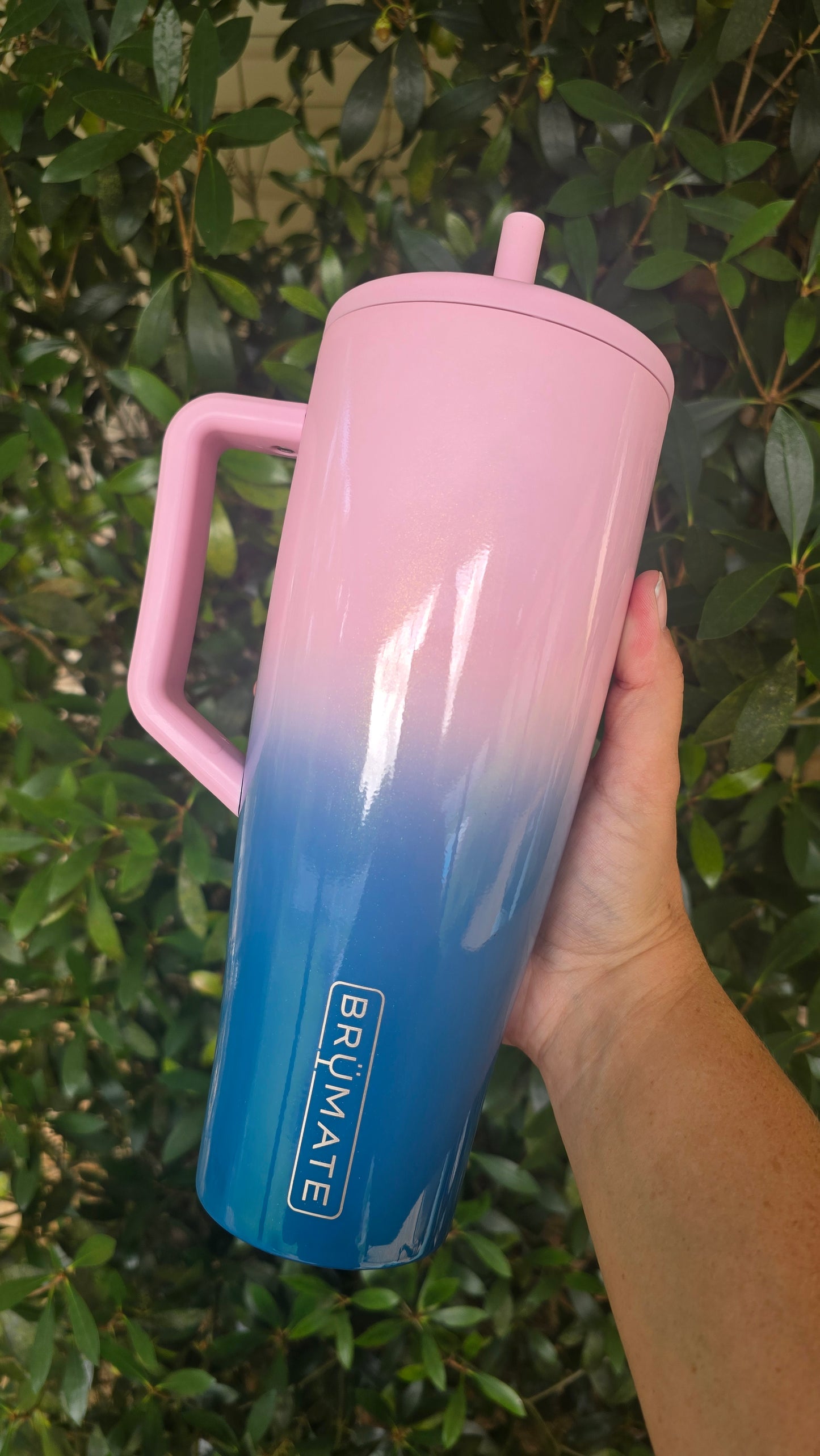 Custom Dyed Tumbler: 40oz Brumate Era (Petal Pink)